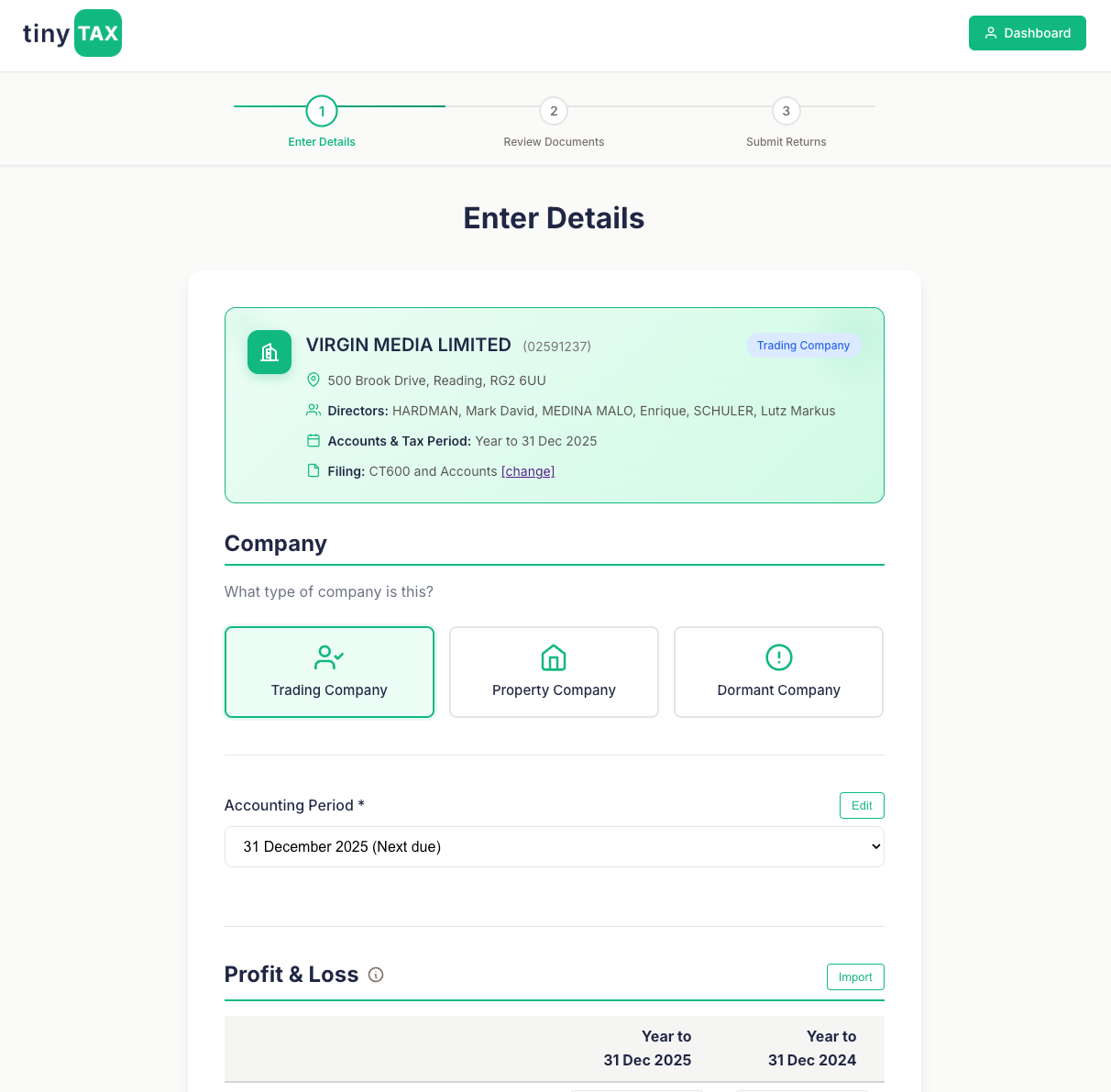 TinyTax submission form showing company details and financial data entry